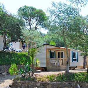 **** Camping Camping Treumal Spanje